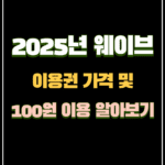 2025년 웨이브