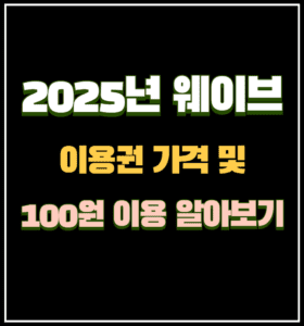 2025년 웨이브